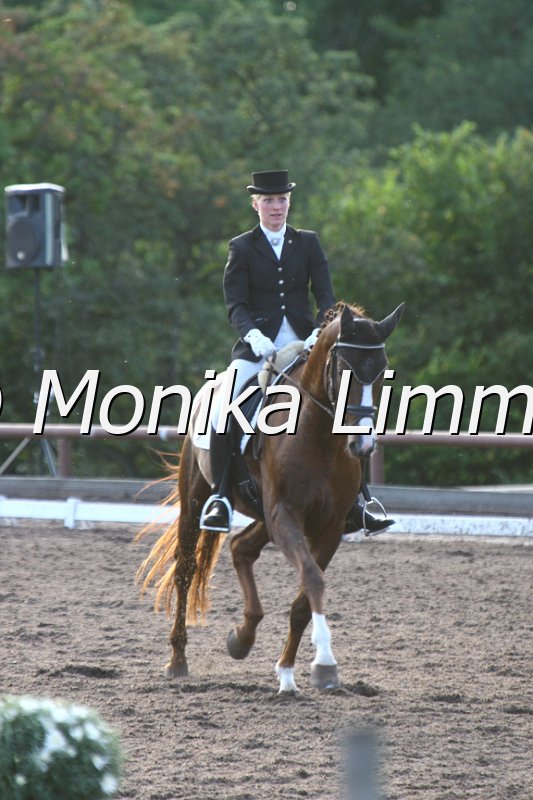 109M5158_Aufwind_Dressurpferde M.JPG